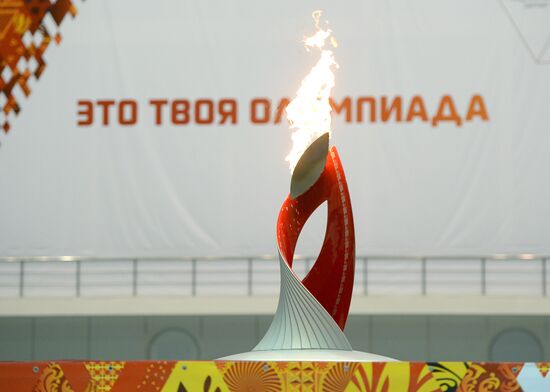 Olympic torch relay. Moscow Region