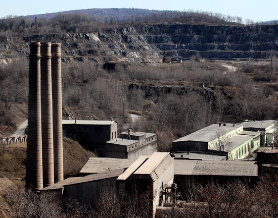 Teploozyorsk cement plant