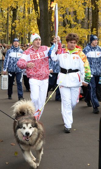 Olympic torch relay. Moscow Region