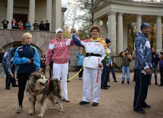 Olympic torch relay. Moscow Region