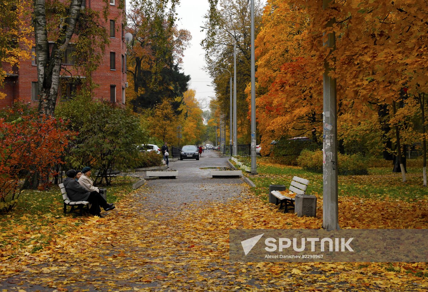 Golden Autumn in St. Petersburg