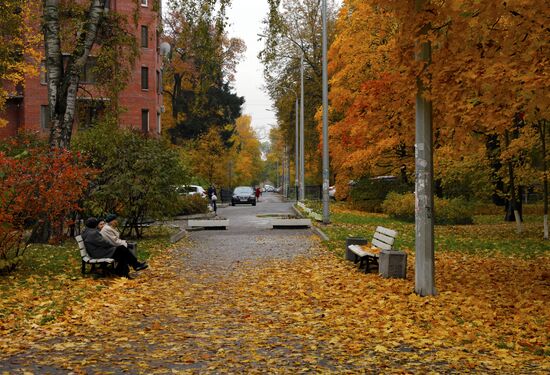 Golden Autumn in St. Petersburg