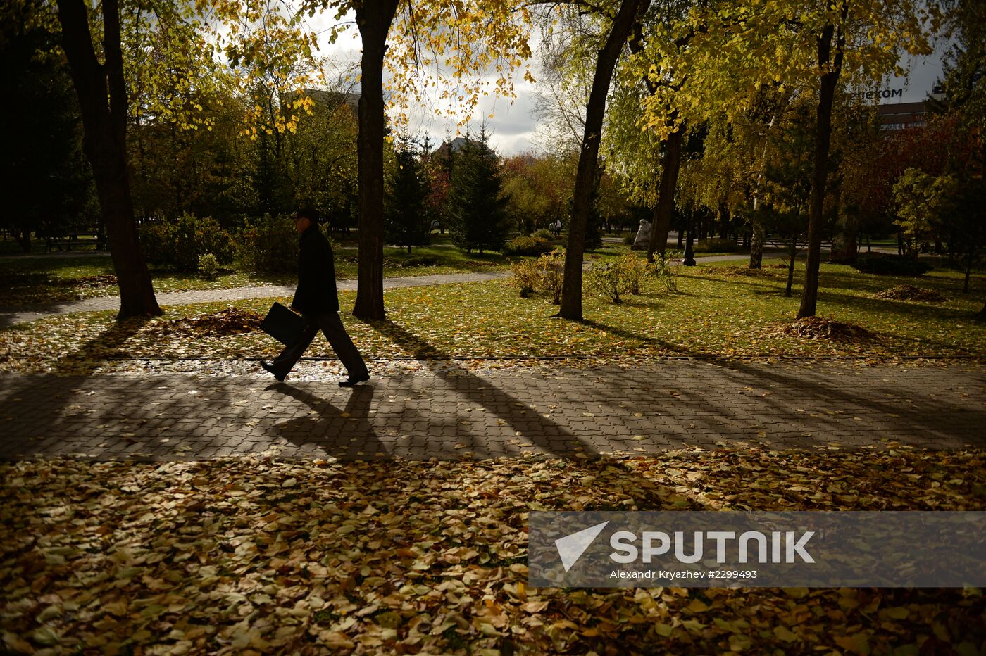 Fall in Novosibirsk