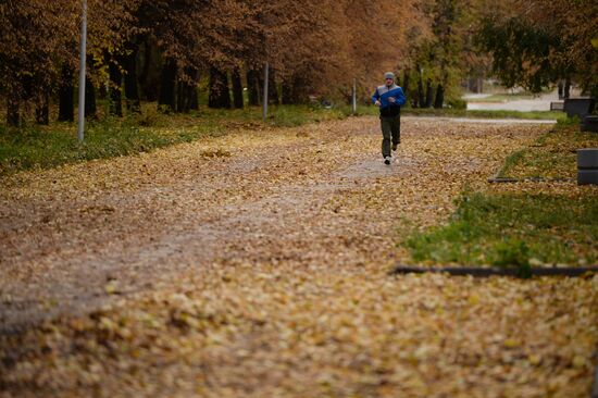 Autumn in Novosibirsk