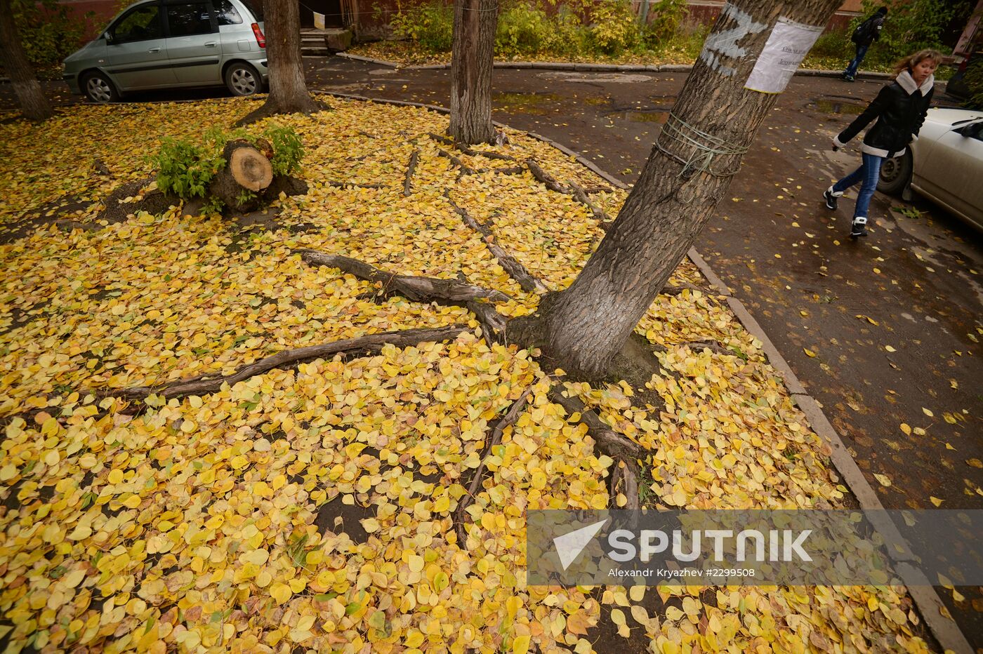 Fall in Novosibirsk