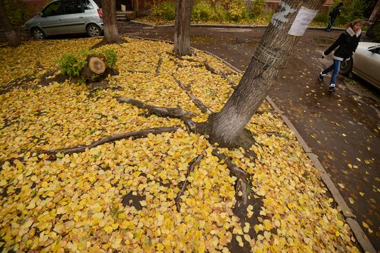 Fall in Novosibirsk