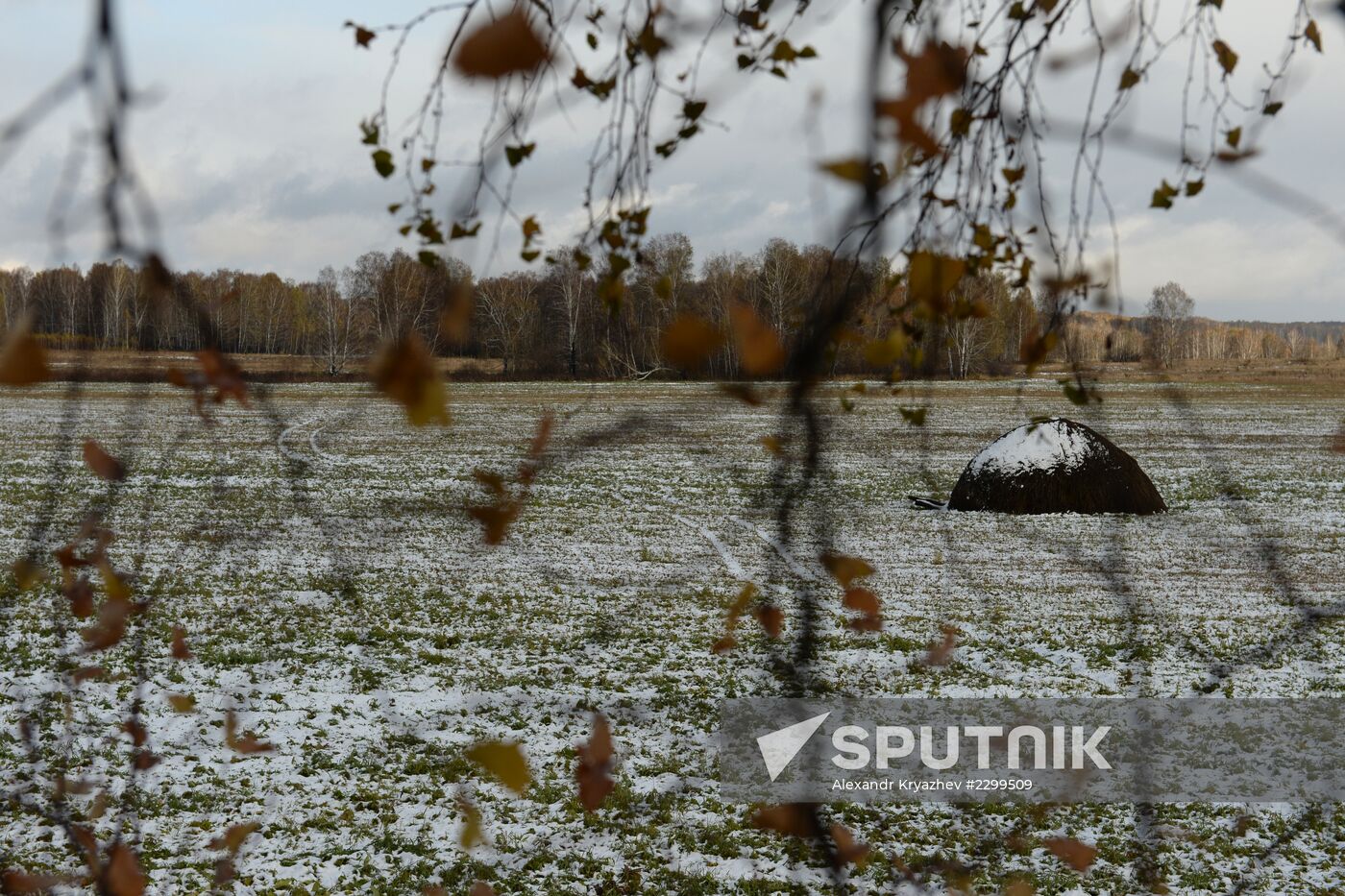 Fall in Novosibirsk