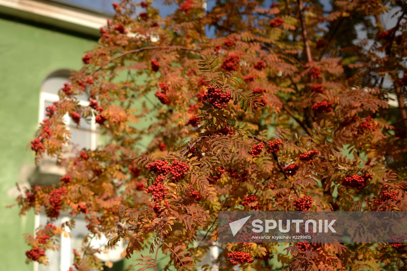 Fall in Novosibirsk