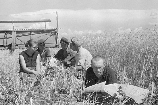 Workers at Feodosiisky grain state owned farm