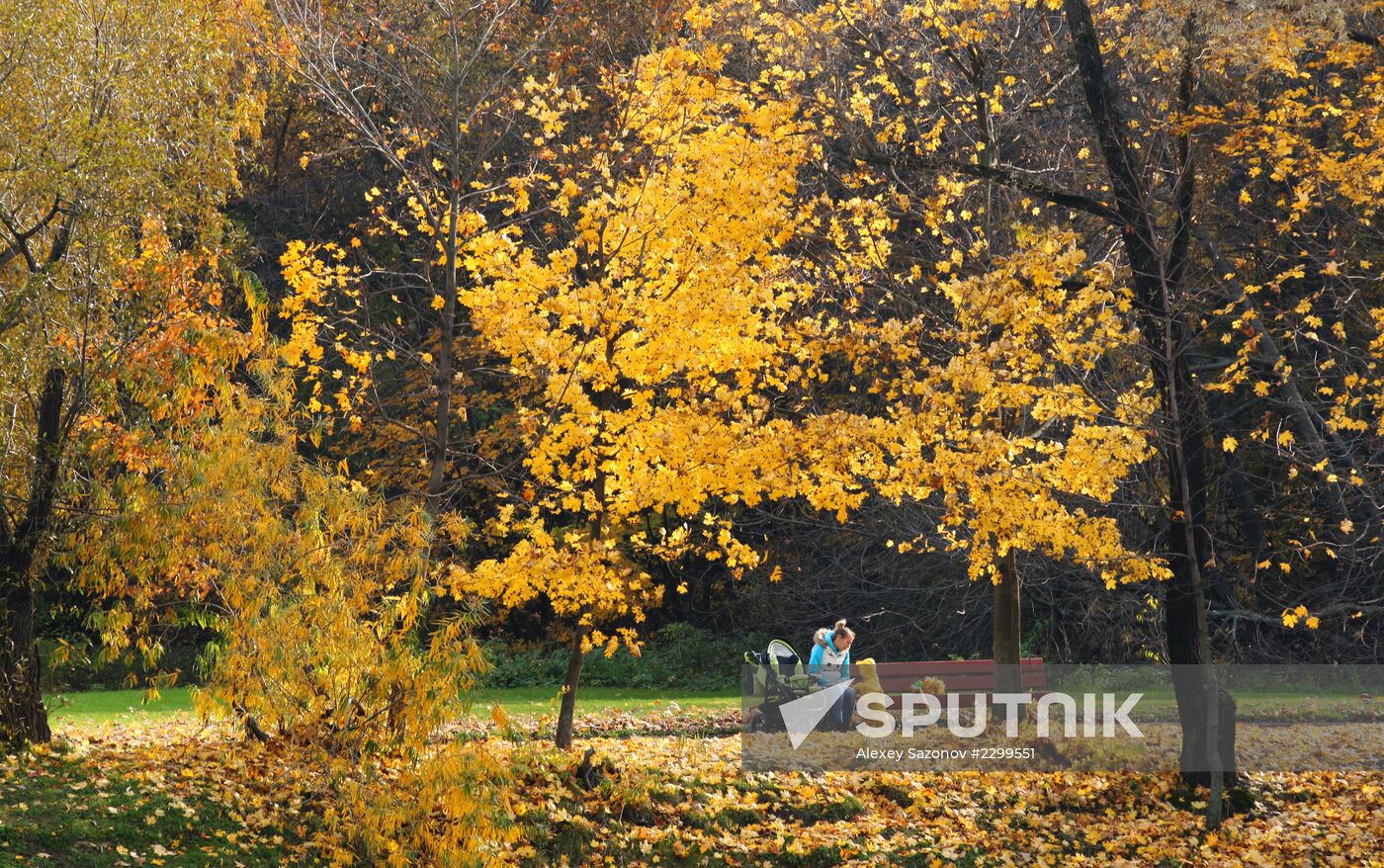 Golden autumn in Moscow