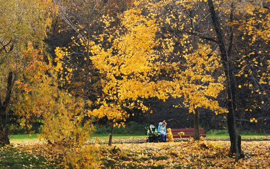 Golden autumn in Moscow