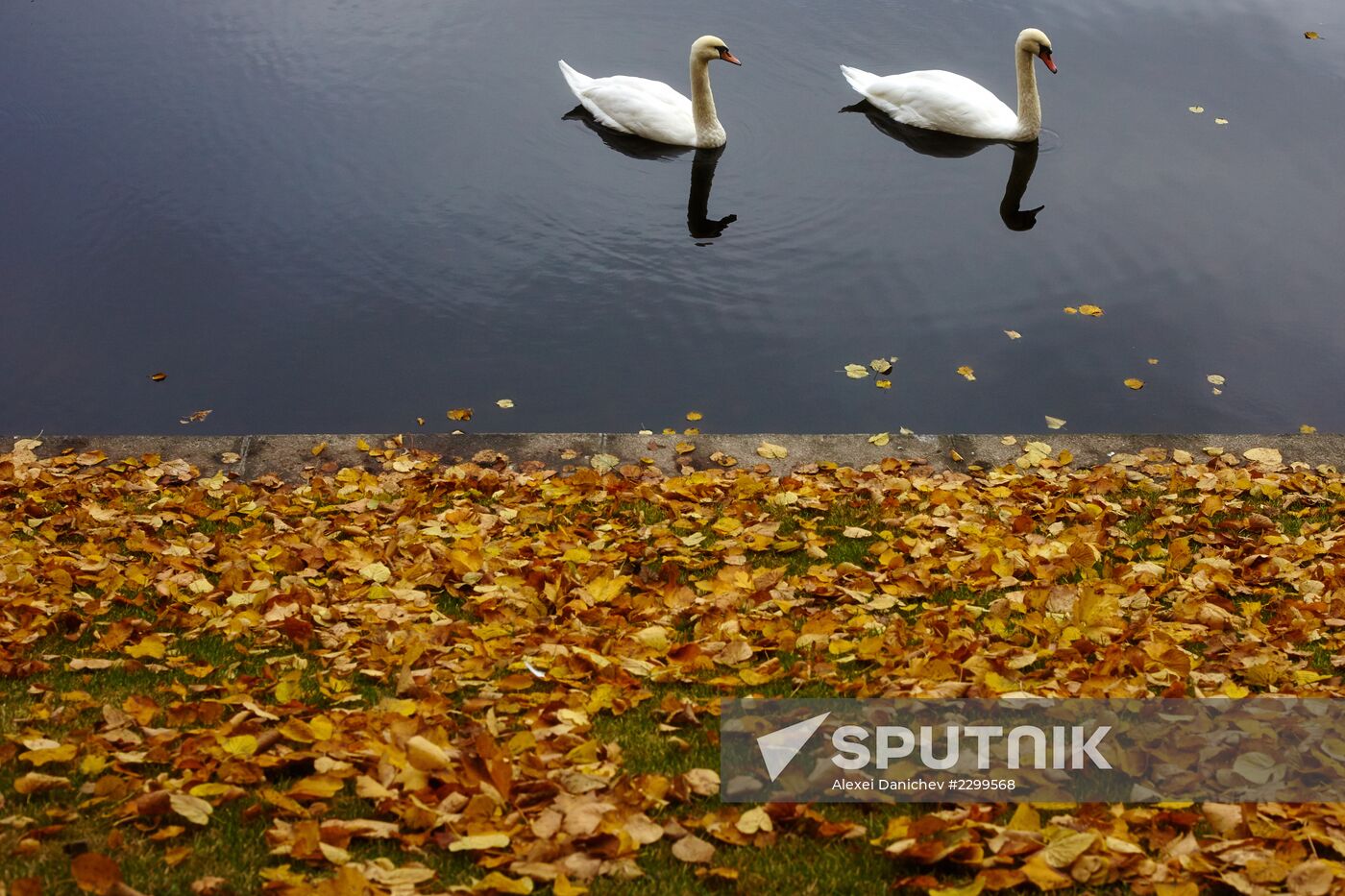 Autumn in St Petersburg