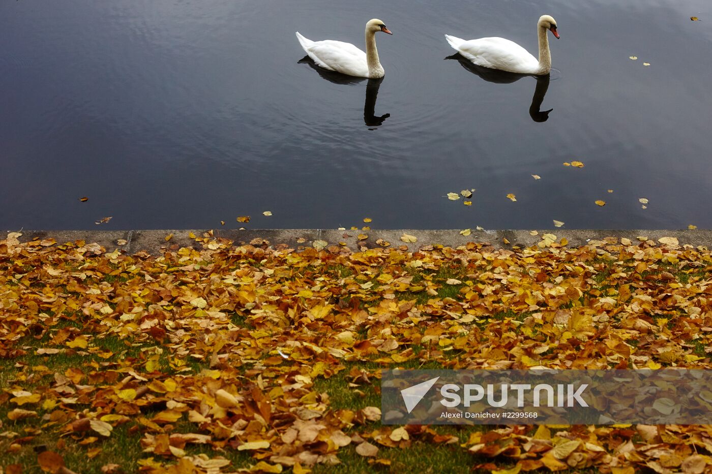 Autumn in St Petersburg