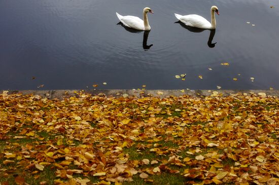 Autumn in St Petersburg