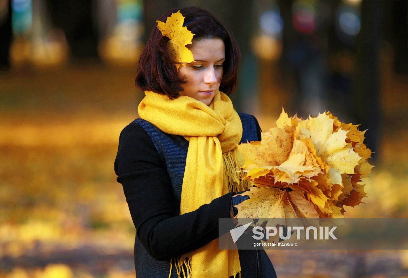 Autumn in St Petersburg