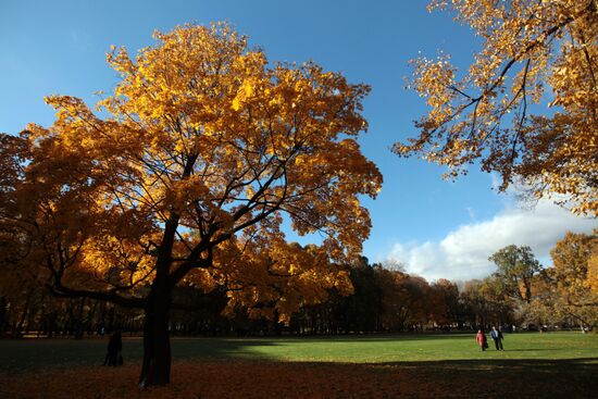 Autumn in St Petersburg