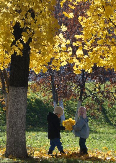 Golden autumn in Moscow
