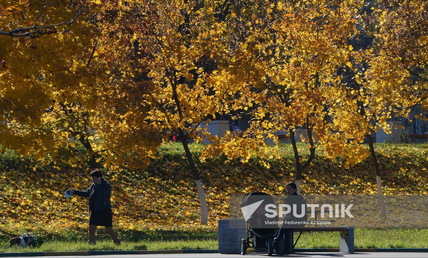 Golden autumn in Moscow