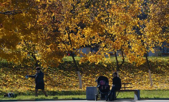 Golden autumn in Moscow