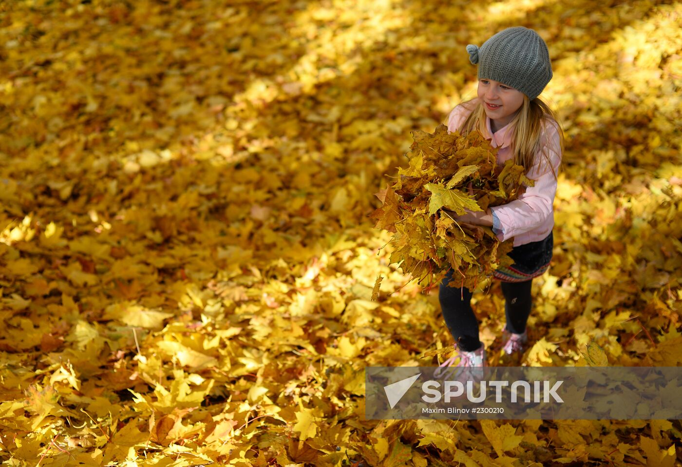 Golden autumn in Moscow