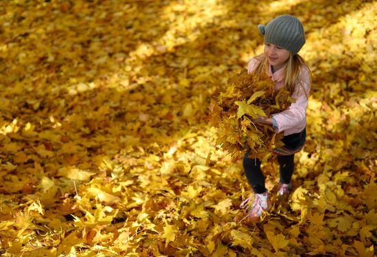 Golden autumn in Moscow