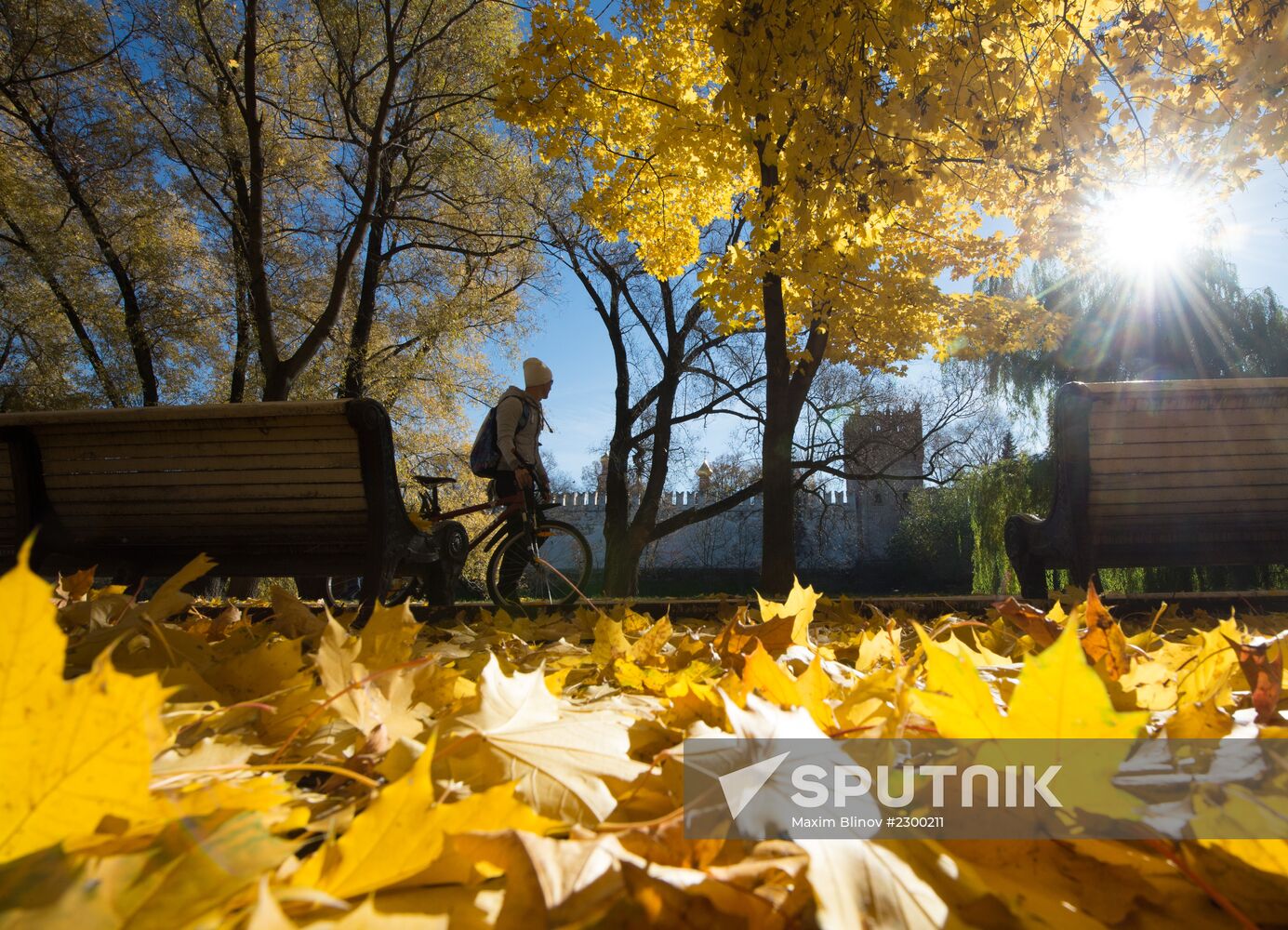 Golden autumn in Moscow