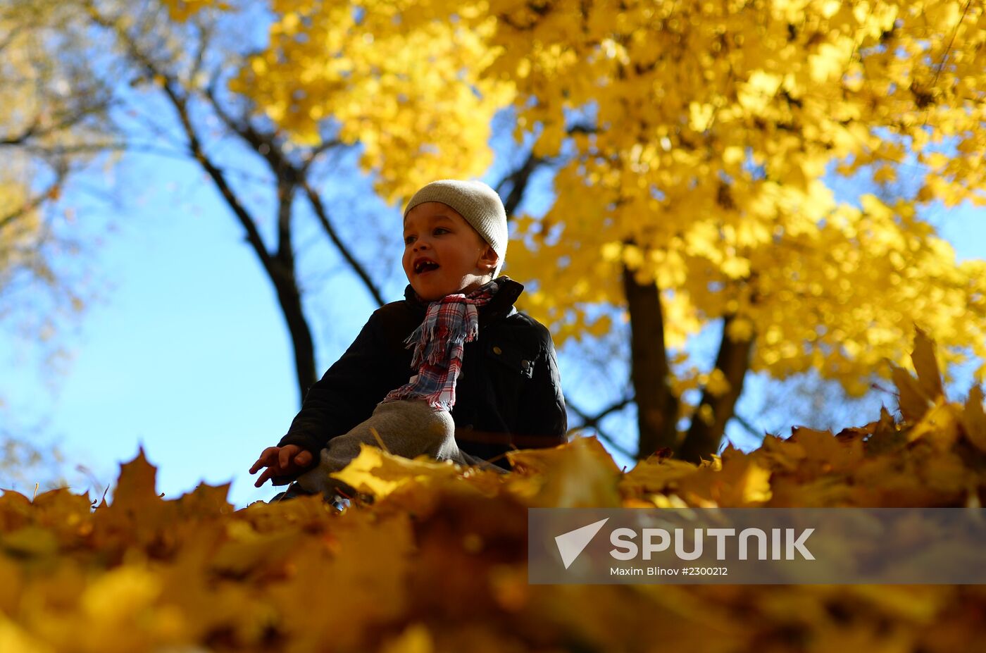 Golden autumn in Moscow