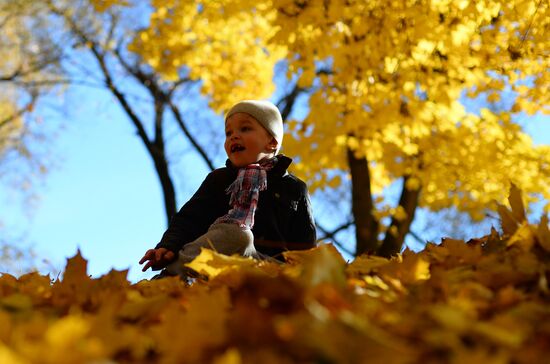 Golden autumn in Moscow