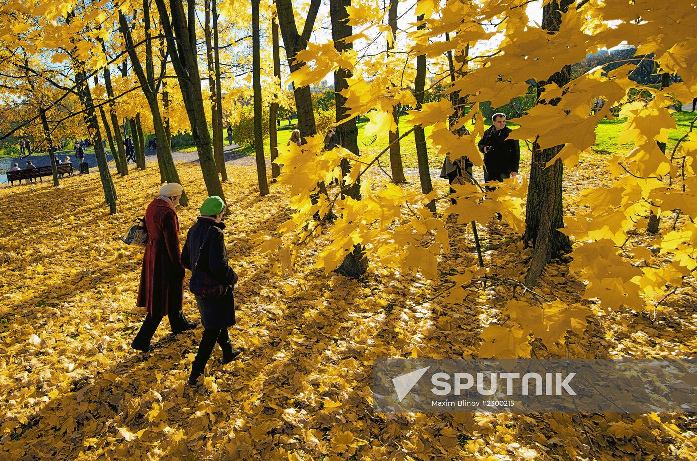 Golden autumn in Moscow
