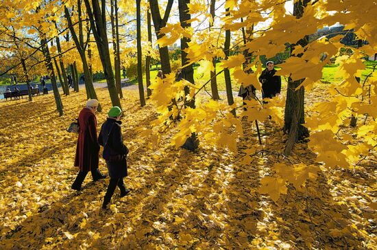 Golden autumn in Moscow