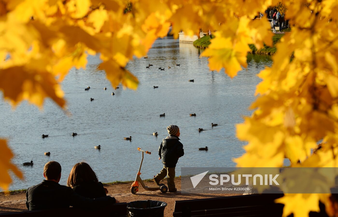 Golden autumn in Moscow