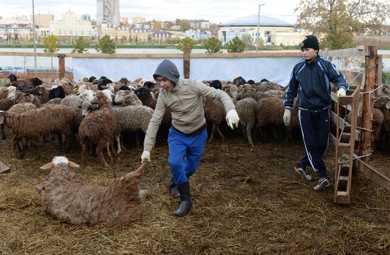 Preparation for Eid al-Adha celebration in Russia