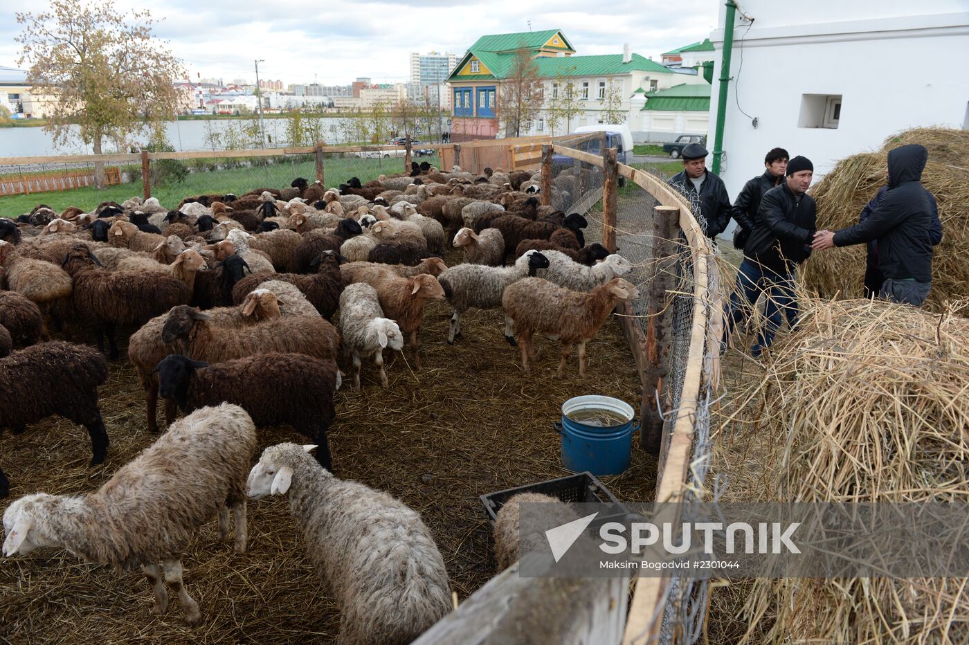 Preparation for Eid al-Adha celebration in Russia