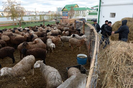 Preparation for Eid al-Adha celebration in Russia