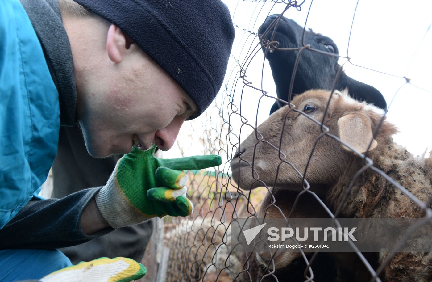 Preparation for Eid al-Adha celebration in Russia
