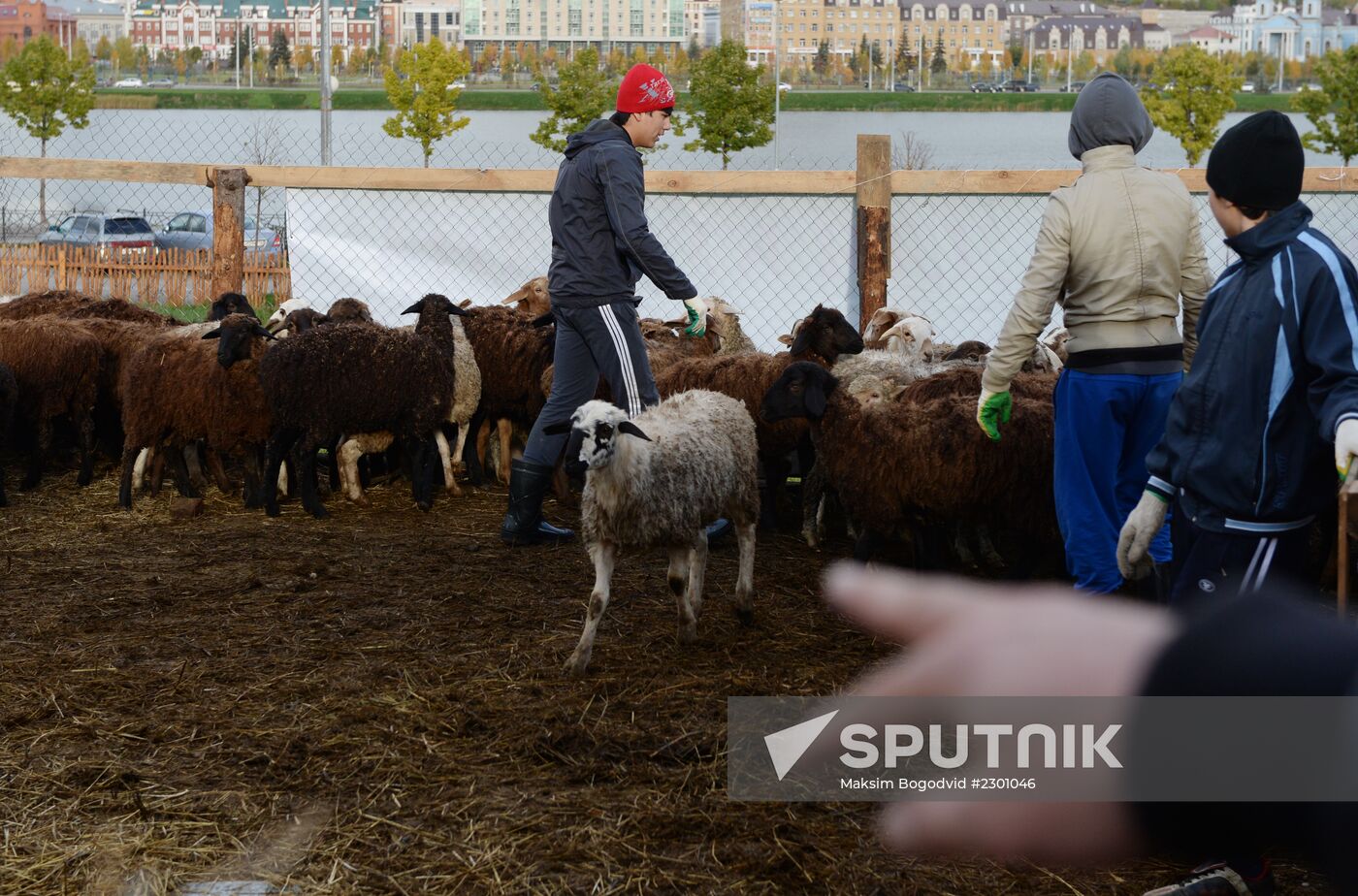Preparation for Eid al-Adha celebration in Russia