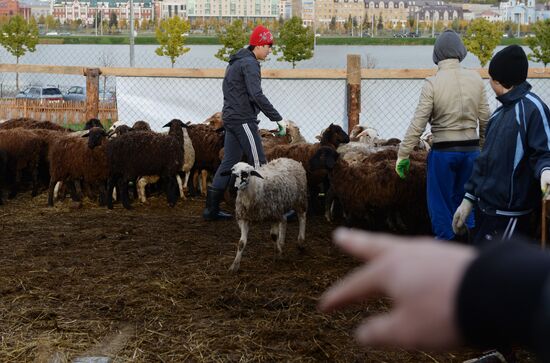 Preparation for Eid al-Adha celebration in Russia