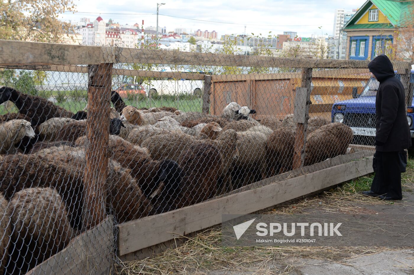 Preparation for Eid al-Adha celebration in Russia