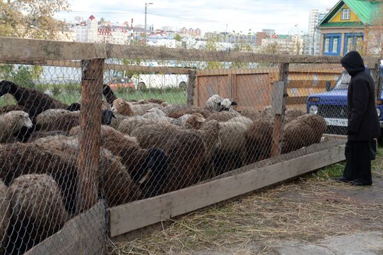 Preparation for Eid al-Adha celebration in Russia