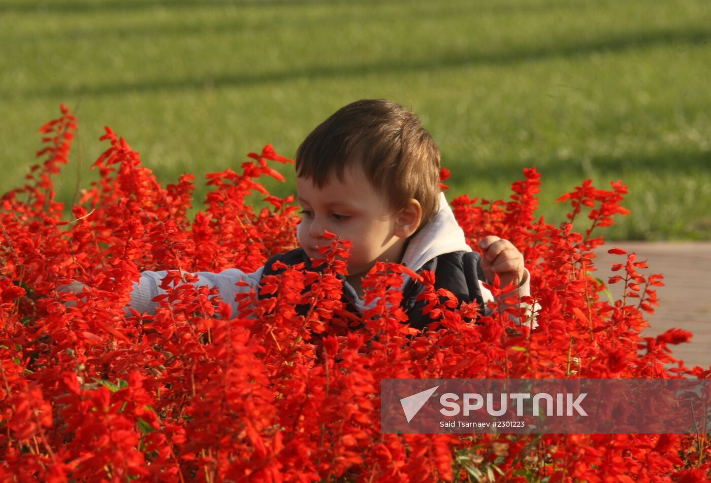 Fall in Grozny