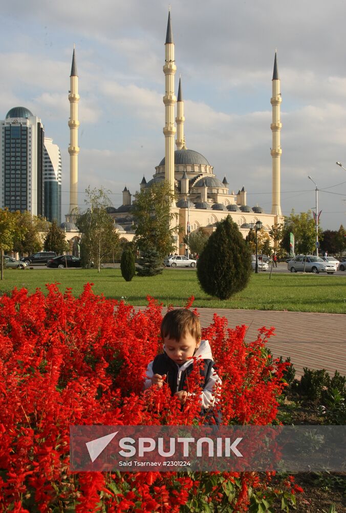 Fall in Grozny