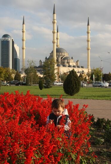 Fall in Grozny
