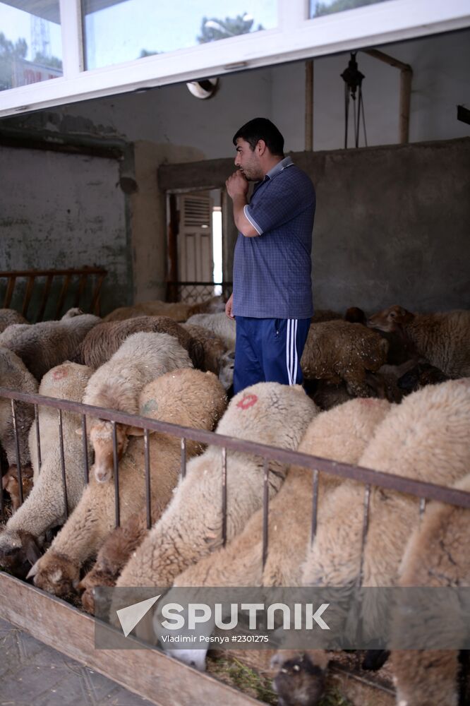 Preparing to celebrate Eid al-Adha in Azerbaijan