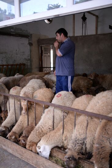 Preparing to celebrate Eid al-Adha in Azerbaijan
