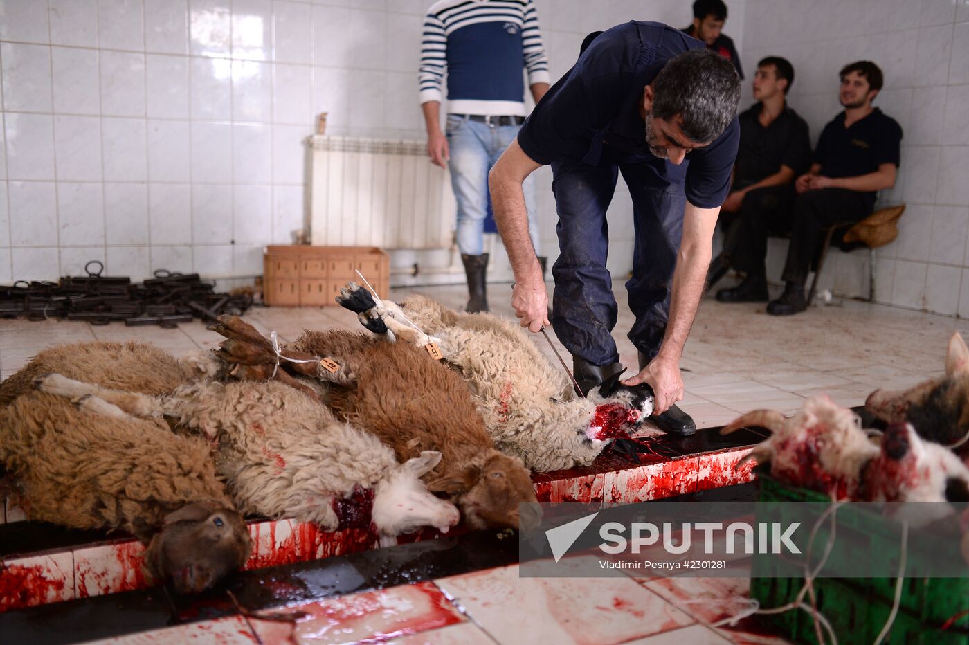 Preparing to celebrate Eid al-Adha in Azerbaijan