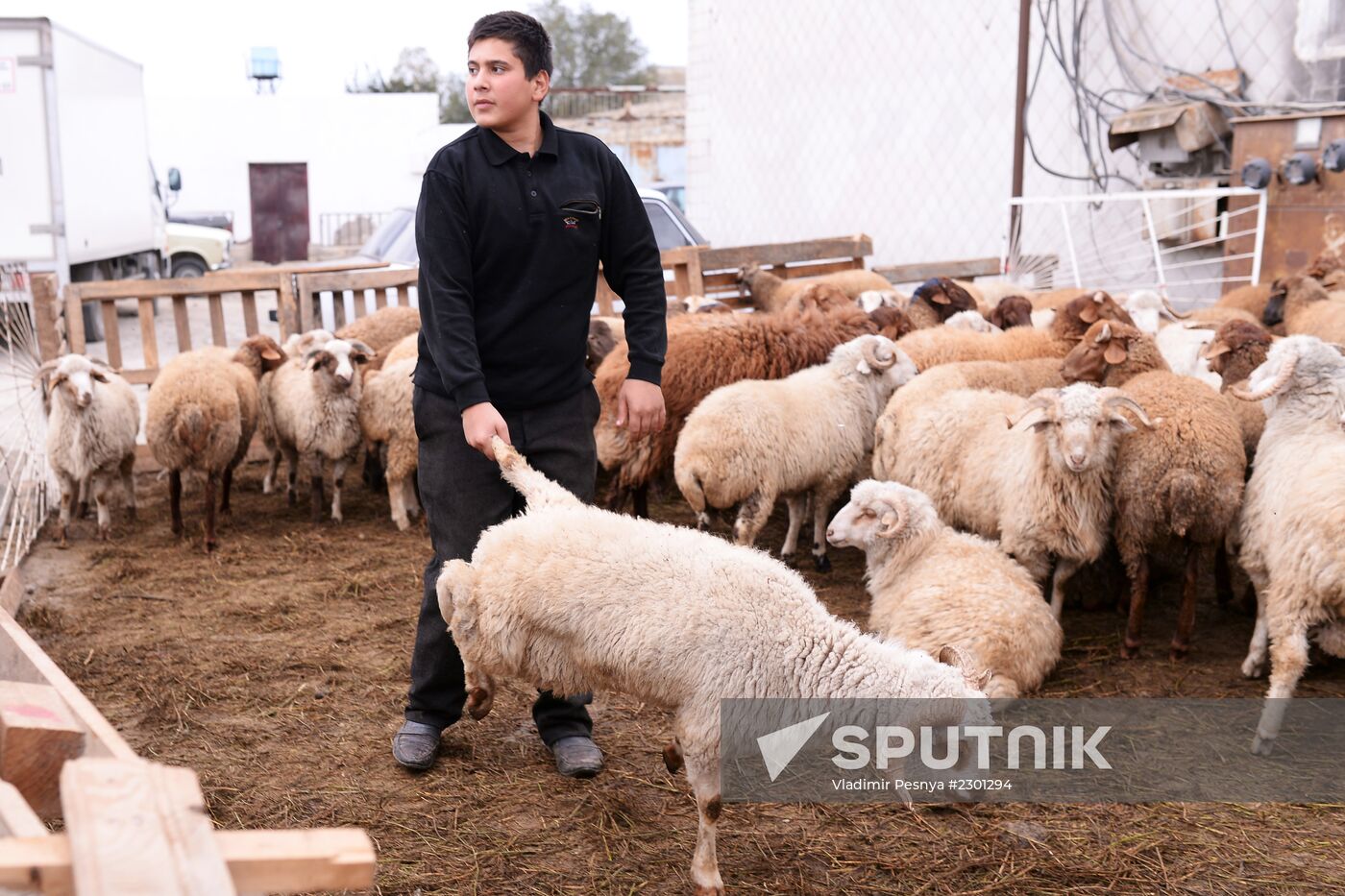 Preparing to celebrate Eid al-Adha in Azerbaijan