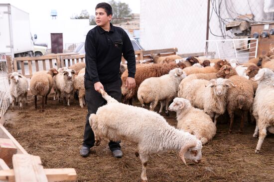 Preparing to celebrate Eid al-Adha in Azerbaijan