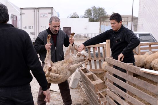 Preparing to celebrate Eid al-Adha in Azerbaijan
