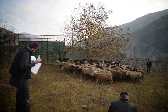 Eid al-Adha celebrations in Chechnya