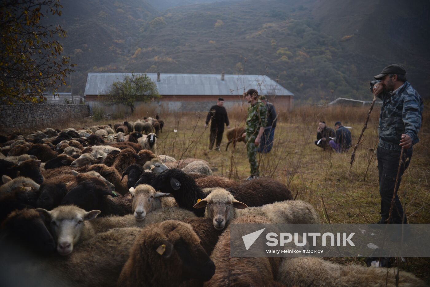 Eid al-Adha celebrations in Chechnya